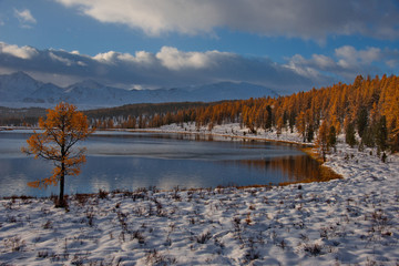 Autumn in the Altai Mountains