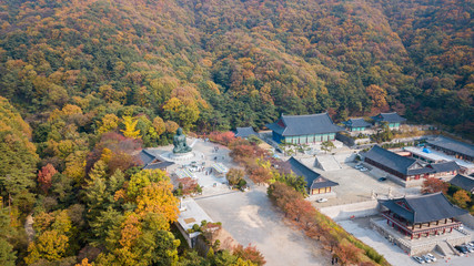 Fototapeta premium Aerial view autumn of Statue of Buddha in Temple, Seoul Korea .
