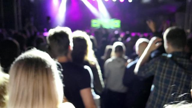 Blonde Girl and Crowd Partying At Concert Slow Motion