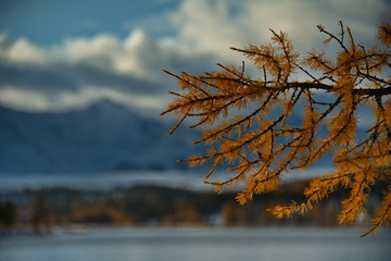 Autumn in the Altai Mountains