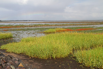 Regenbogen über dem Wattenmeer vor Keitum