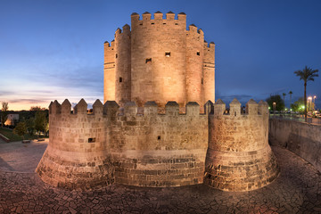 Panorama of Roman Bridge in the Evening, Cordoba, Andalusia, Spain