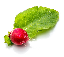 One whole red radish on fresh green leaf isolated on white background.