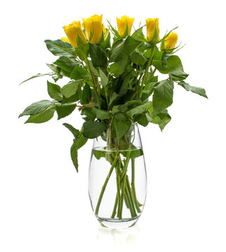Bouquet of fresh cut yellow roses in glass vase isolated on white background.
