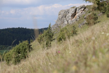 Fototapeta na wymiar Slope with rock cliffs at Muehlberg near Unterwiesenacker, Upper Palatinate, Germany