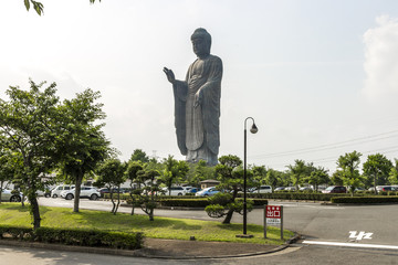 The Great Buddha of Ushiku, Japan. One of the tallest statues in the world