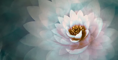 Deurstickers Lotusbloem roze lotusbloem met een dromerige blauwe achtergrond
