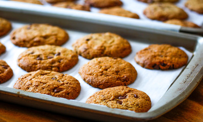 Chocolate Chips Cookies 