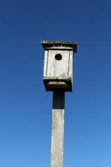 Birdhouse against blue sky.