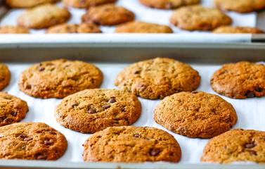 Chocolate Chips Cookies 