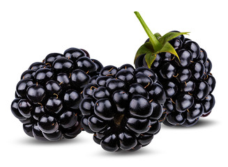 Fresh blackberry isolated on white background with clipping path