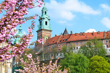 Fototapeta Royal Castle Wawel in Krakow obraz