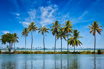 Fototapeta na wymiar Kerala backwaters