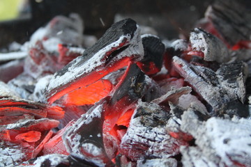 Fire/Flame