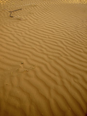 Desert sand texture