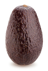 hass avocado