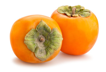 persimmon
