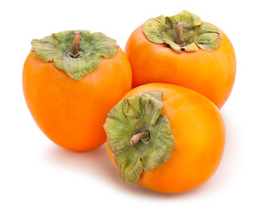 persimmon