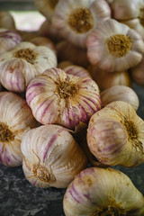 Fresh french violet and rose garlic from Provence, France