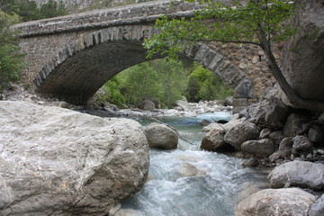 Fototapeta na wymiar Pont sur le Bès, Affluent de la Bléone et de la Durance, Massif du Blayeul, Provence-Alpes-Côte d'Azur, France