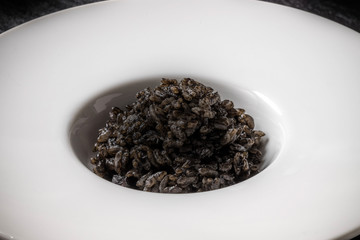 いかすみのリゾット　Risotto of squid ink