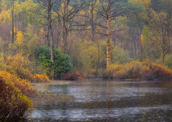 Rainy autumn morning in the Netherlands