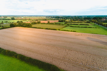 Fototapeta na wymiar Luftaufnahme von Feldern im August