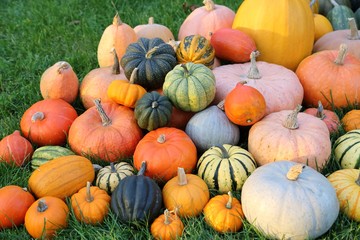Squash and pumpkins.