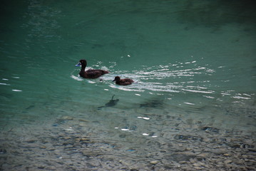 Bavarian tour in summer