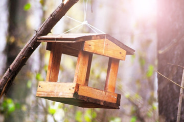 Little Birdhouse over wooden table outdoors in the garden