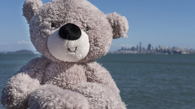 Concept of teddy bear traveling the world, with San Francisco in the background, California, USA.