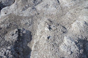 The Moon on Earth