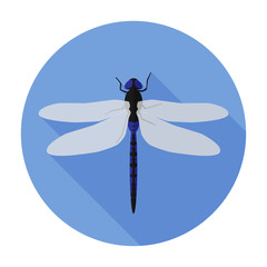 Dragonfly icon flat