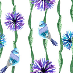 Flower Cornflower Watercolor Pattern