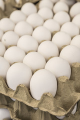 Raw eggs in carton displays for sale in a food market