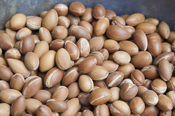 Basket of argan fruit at the market, the most valued crop of Argania spinosa, or commonly known as Argan tree, at medinas, Marrakesh, Morocco
