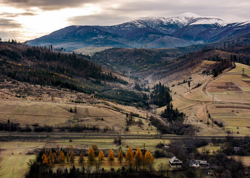 rural valley at the foot of snowy mountain. hills with weathered grass and trees with yellow foliage