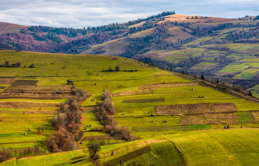 Obraz premium grassy rural hill in late autumn sunny day. beautiful scenery in mountainous area