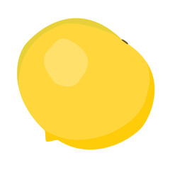 Pouteria caimito or the abiu golden fruit isolated on background. Yellow vector tropical fruit.