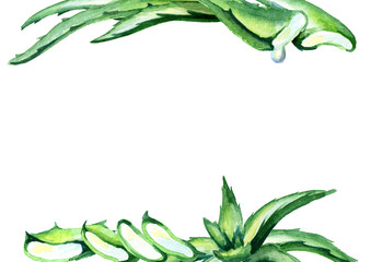 Organic Aloe vera template. Watercolor hand drawn background
