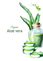 Organic Aloe vera template. Watercolor