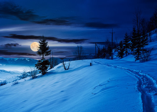rural footpath through snowy hillside at night in full moon light. beautiful scenery of mountainous countryside in winter