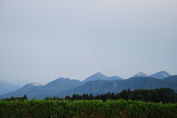 Bavarian tour in summer