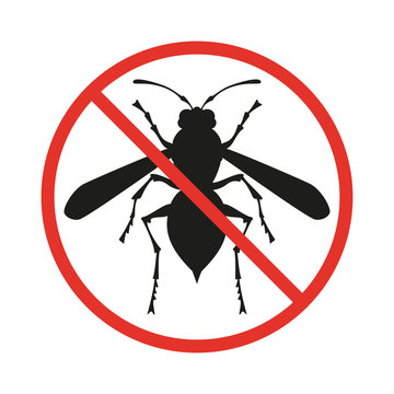 No insects sign on the white background.
