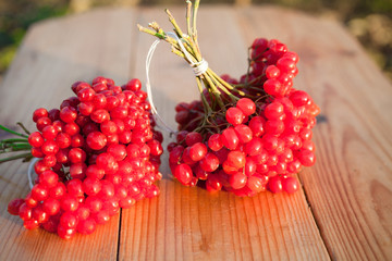 Fototapeta na wymiar Red berries of viburnum on a wooden background