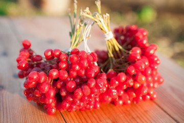 Red berries of viburnum on a wooden background