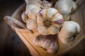 Garlic Cloves and Garlic Bulb on vintage wood background