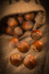 Hazelnuts and jute bag on rustic wooden background