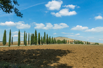 Fototapeta na wymiar Tuscany landscape with cypress road and blue sky with clouds