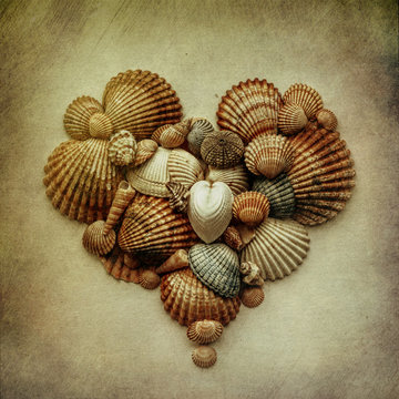 Close-up of shells arranged in heart shaped